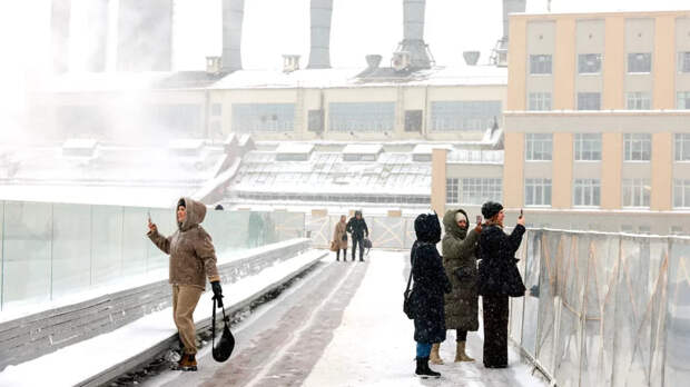 Портал mos.ru предупредил москвичей о сильном ветре и обильном снегопаде