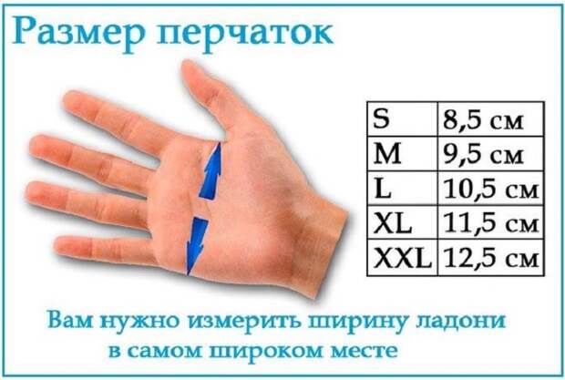 Шпаргалка для определения размера перчаток. / Фото: globusmedspb.ru
