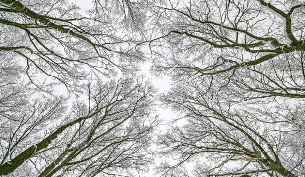 Синоптик Тишковец: Аномальные морозы в Москве сохранятся до пятницы