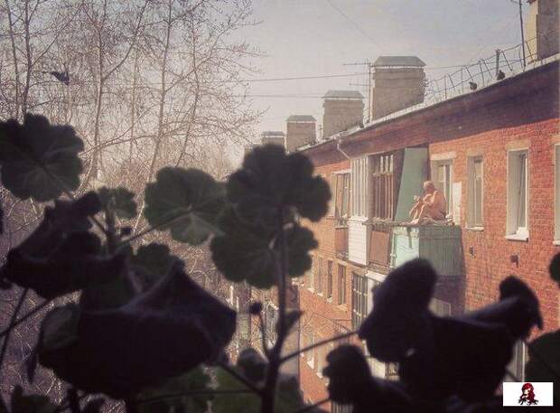 www.vsyako.net