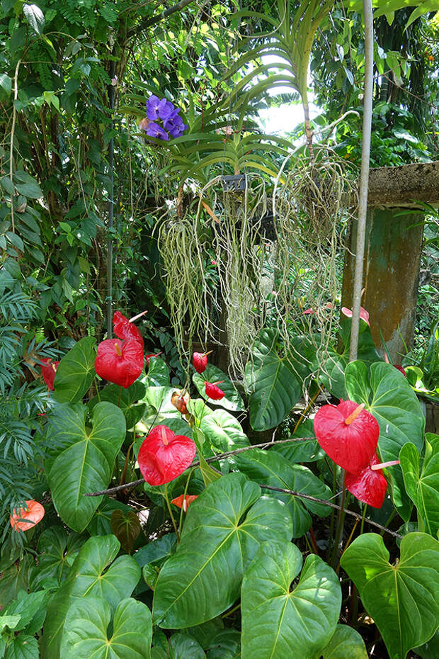 DSC03350_3.jpg DSC03350_3.jpg