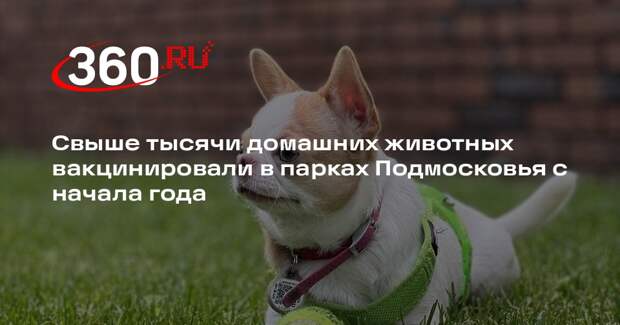 Свыше тысячи домашних животных вакцинировали в парках Подмосковья с начала года