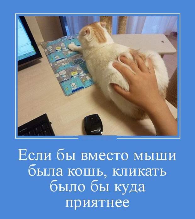 1469567797_14