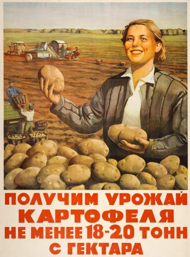 Плакаты из СССР, которые поднимали сельское хозяйство