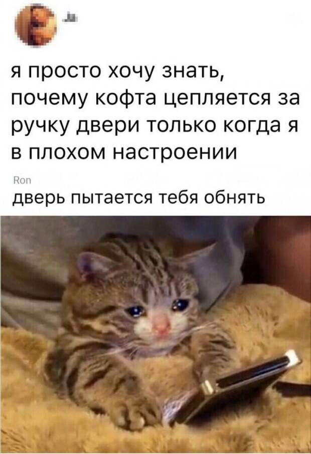 Скрины из социальных сетей