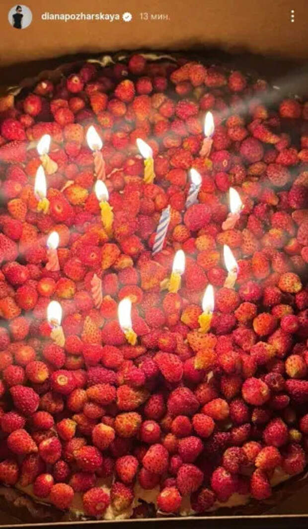 День рождения Дианы Пожарской