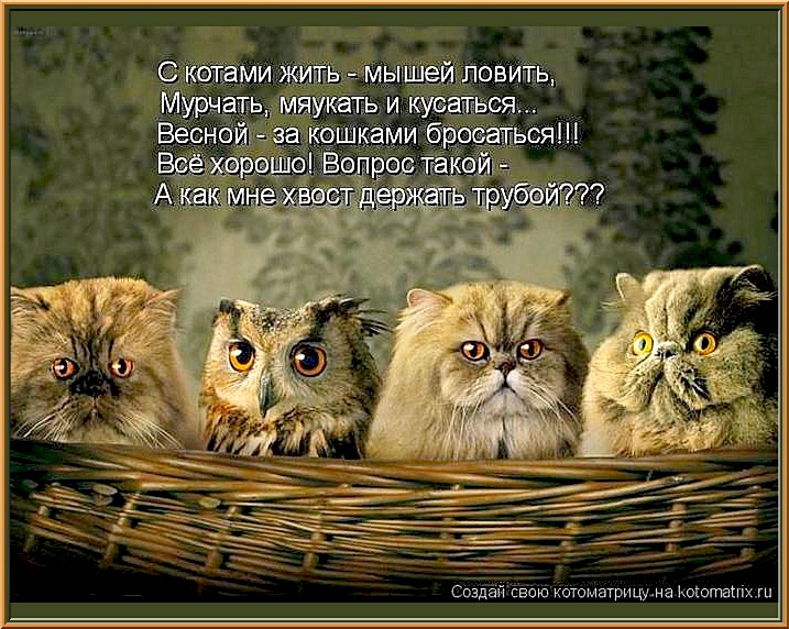 УЛЫБНЕМСЯ!..