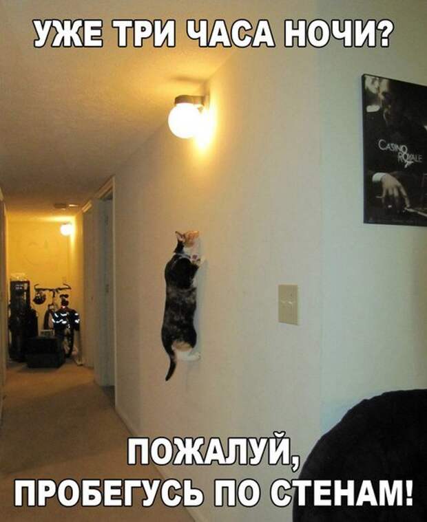 Новые фотомемы с приколами (26 шт)