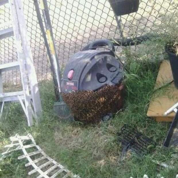 Прикольные картинки Прикольные картинки