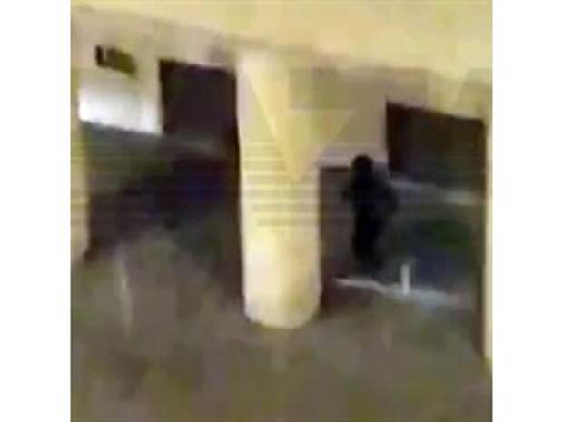 Атака на ФСБ вызвала новые вопросы к закону об оружии