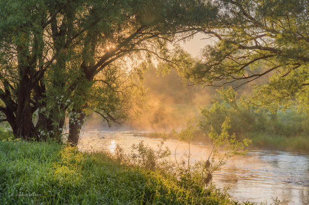 Июньский день на реке Угре фотография, лето, река Угра, красота природы, Смоленская область, Россия, длиннопост