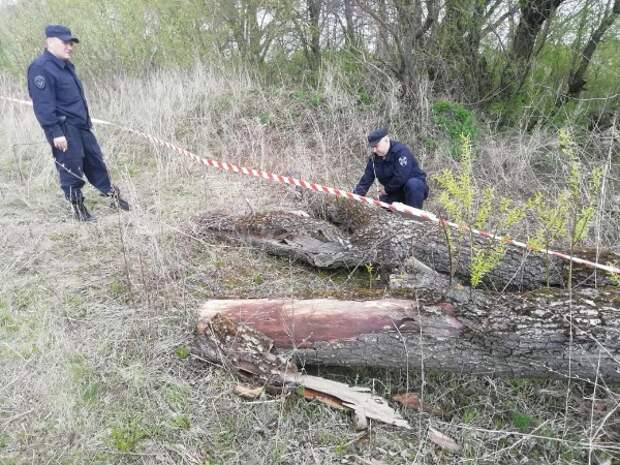 Под Рязанью нашли неразорвавшийся артиллерийский снаряд