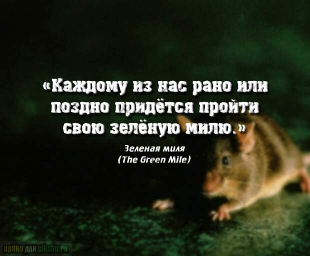 Цитаты из фильмов