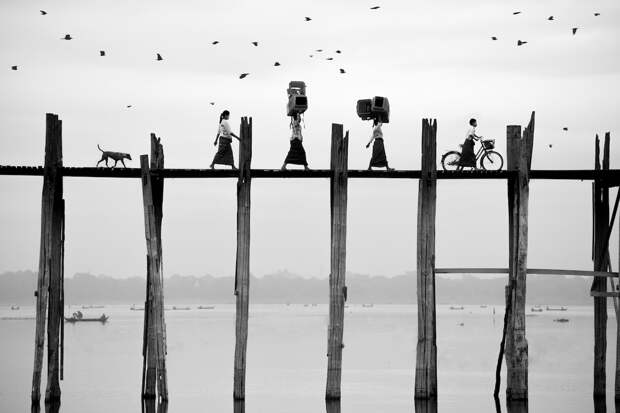 Невероятные снимки с фотоконкурса Sony World Photography Awards 2018 28