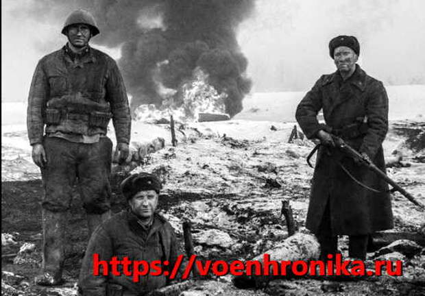 Панфиловцы. Бои за Скирманово на Волоколамском направлении 1-15 ноября 1941 года (2022)