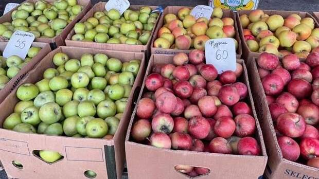 Ирина Мезавцова провела мониторинг соблюдения рекомендуемых цен на ярмарках «выходного дня»