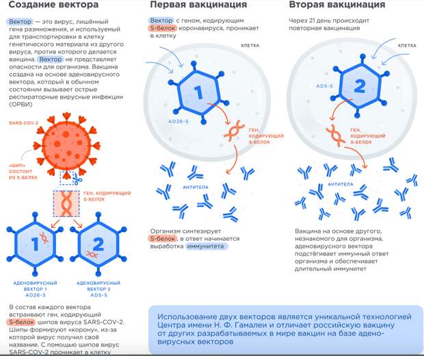 КОРОНАВИРУС — РАДУЕМСЯ