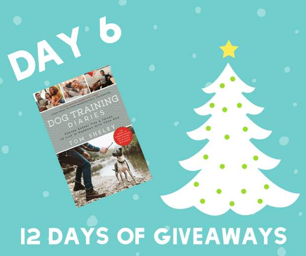 12 Days of Giveaways | Day 6