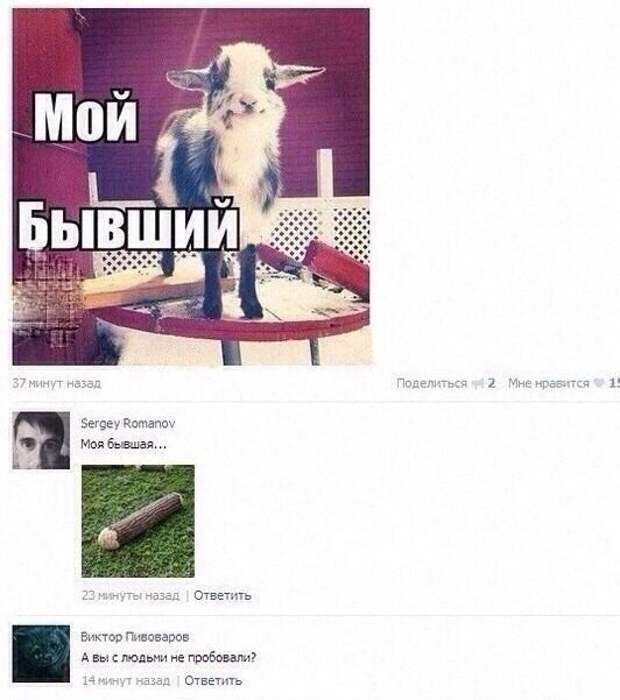 Картинки, юмор, приколы
