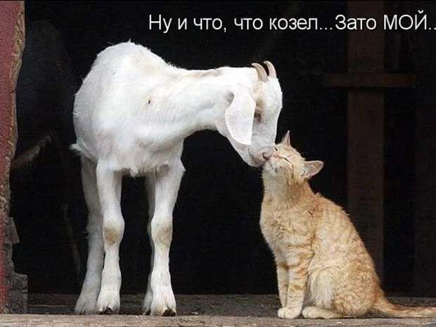 Подборка классных демотиваторов № 102