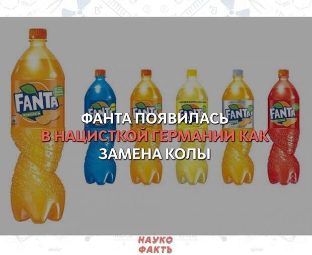 Обманывать нехорошо, но в интернете это норма Обманывать нехорошо, но в интернете это норма