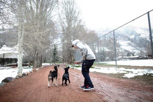 Спортсмен из США спас двух бездомных щенков из России олимпиада, сочи, сша, щенки