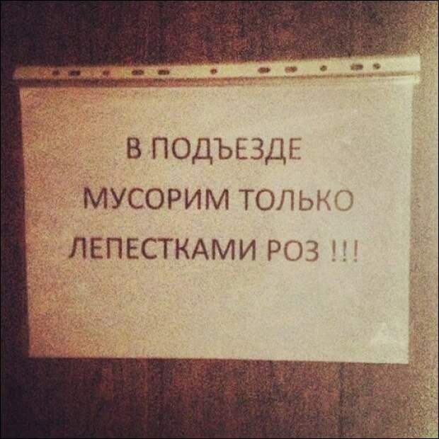 Забавные надписи и объявления Забавные надписи и объявления