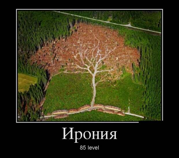 Демотиваторы (30 фото)