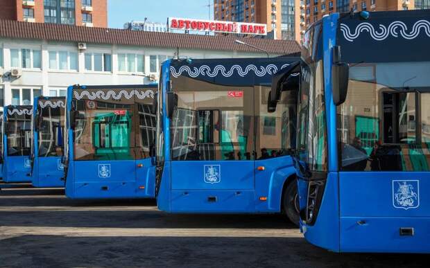 Рынок автобусов в России бьет рекорды