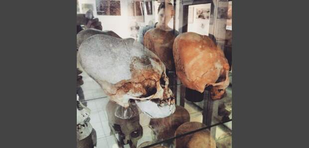 19 археологических находок, которые перевернули наши представления об истории
