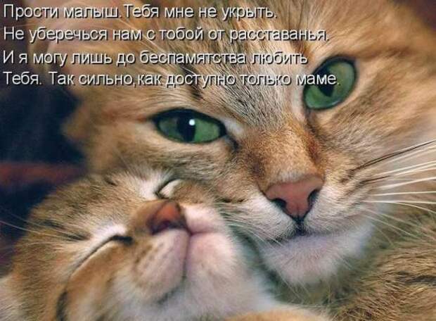 Продолжаем подготовку к Новому Году.