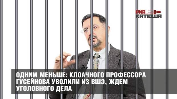 Одним меньше: клоачного профессора Гусейнова уволили из ВШЭ, ждем уголовного дела