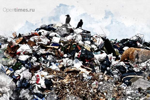 Орловские власти не хотят называть места возможного размещения полигона ТКО