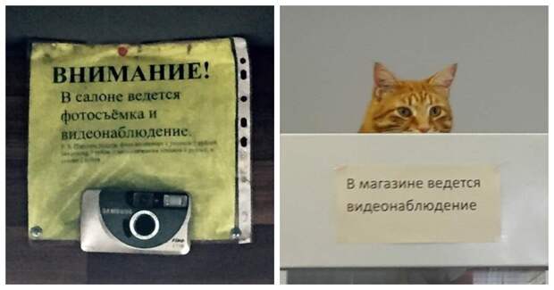 Видеонаблюдение еще никогда не было настолько бестолковым Видеонаблюдение еще никогда не было настолько бестолковым