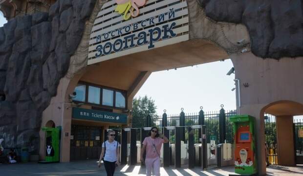 Московский зоопарк впервые принял участие в общегородской акции «Библионочь»