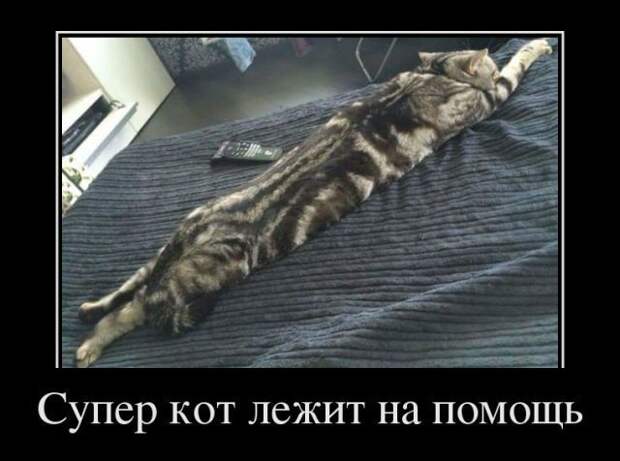 Демотиваторы (30 фото)