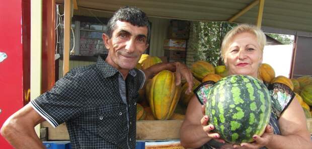 Секреты выращивания арбузов на Кубани