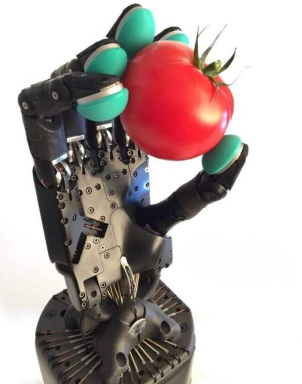 Эта роботизированная рука способна передавать тактильную связь на тысячи километров