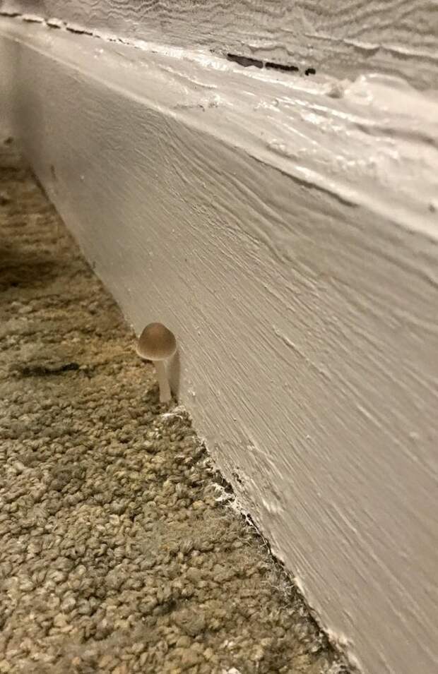 Это вторжение