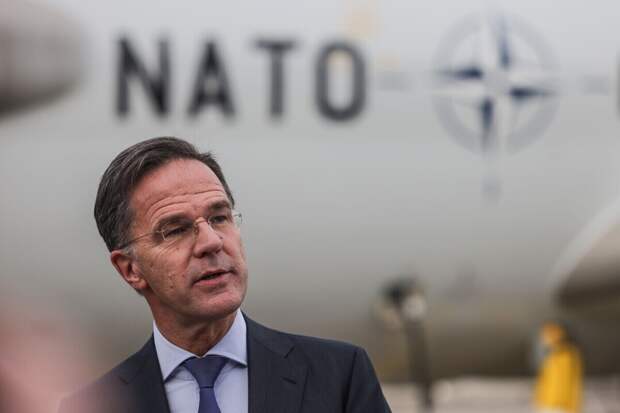 Учебники НАТО теперь можно сжечь: альянс совершенно не готов к современным военным конфликтам