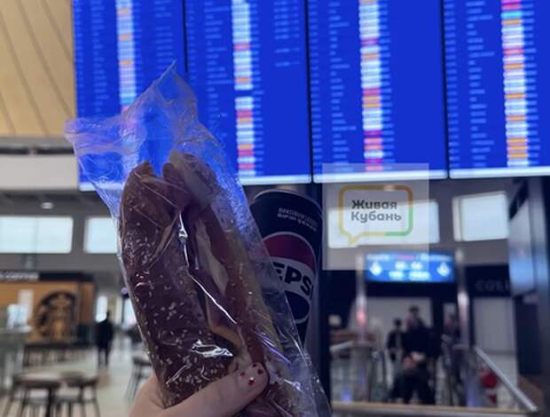 Дело не только в задержке вылетов: о подводных камнях рассказали пассажиры, вылетающие в аэропорты Краснодарского края. Личный опыт