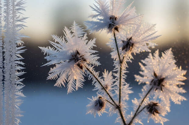 Синоптик Шувалов: в Московской области ожидаются 30-градусные морозы