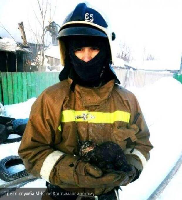 Котенок спасенный: пожарные рисковали жизнью ради спасения пушистого