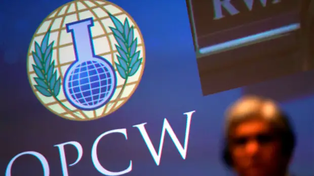 Посол Франции: делегации Евросоюза покинули зал ОЗХО при выступлении представителей РФ