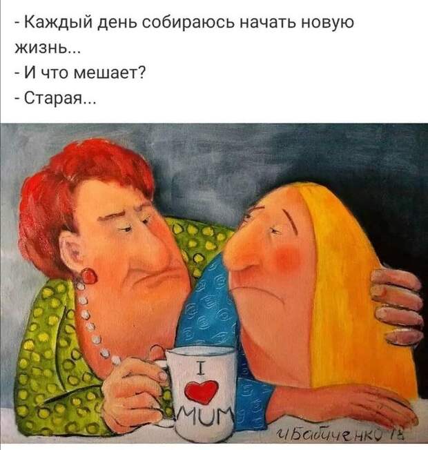5 смешных афоризмов о жизни, которые поймут только мудрые женщины