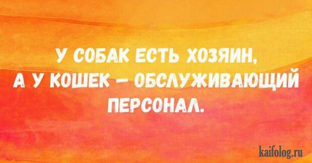 Открытки недели (45 картинок) Открытки недели (45 картинок)