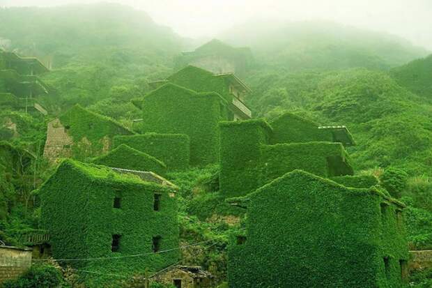 Заброшенная китайская деревня, полностью заросшая плющом