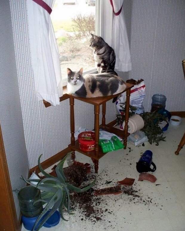 Какие ваши доказательства?