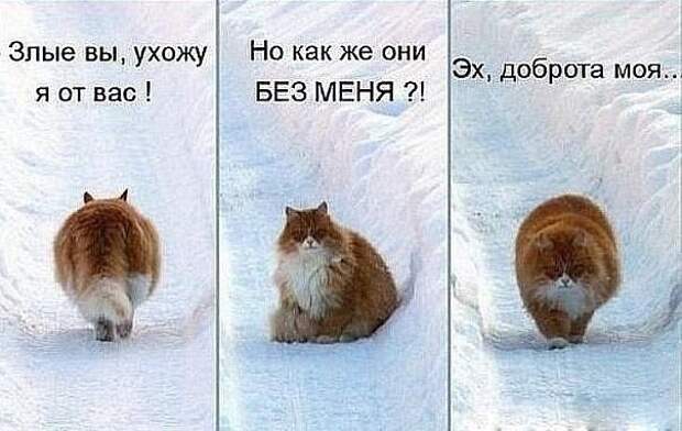 Давайте улыбаться вместе!