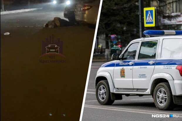 В Красноярске автомобилист уходил от погони и попал в смертельное ДТП
